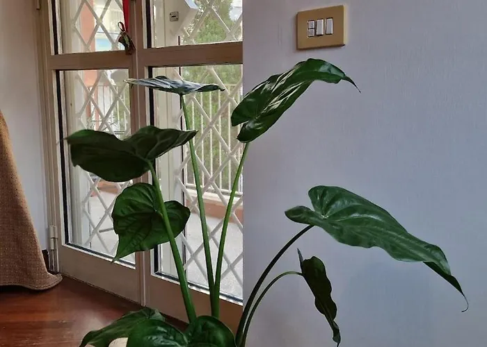Peck House In Marconi San Paolo * Roma